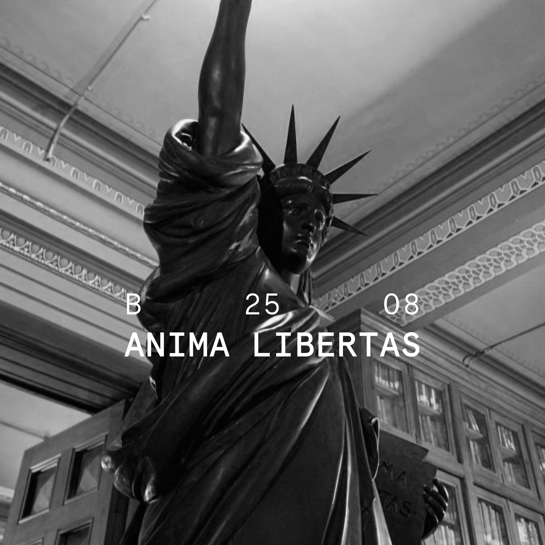 Anima Libertas